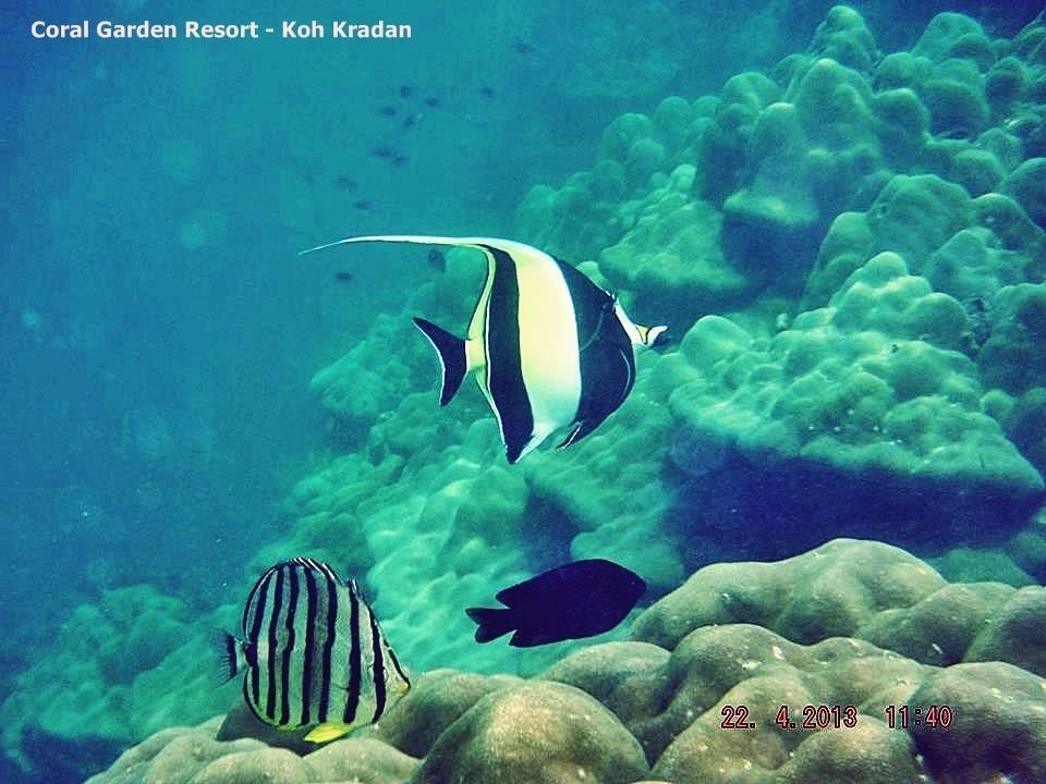 Coral Garden Resort Ко Крадан Екстериор снимка
